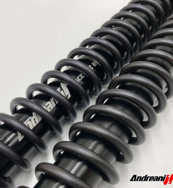 Cartucho Andreani Rally para BMW F850GS (2018-2024)